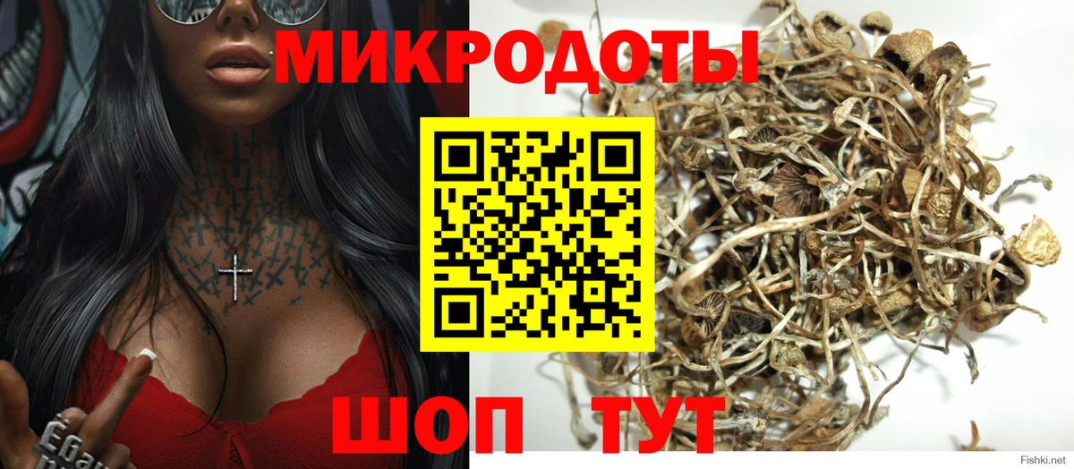 Галлюциногенные грибы прущие грибы Гусиноозёрск