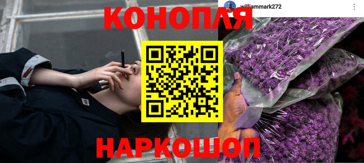 МАРИХУАНА сатива Гусиноозёрск